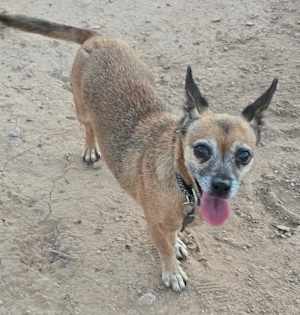 ROXY - Photo 2