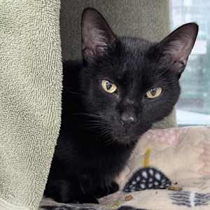 Calypso - Photo 1