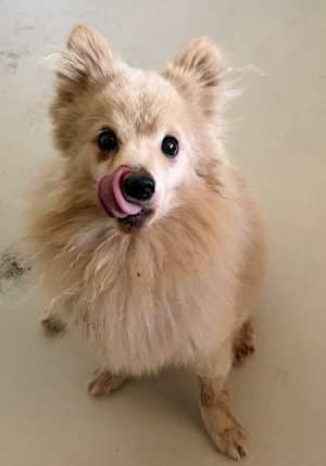 OLIVER - Photo 3