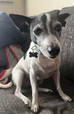 BUSTER - Photo 1