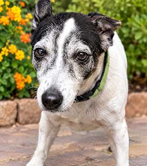 BUSTER - Photo 2