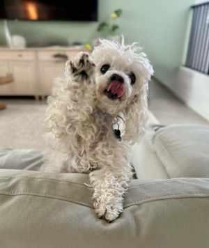 MOLLY - Photo 2