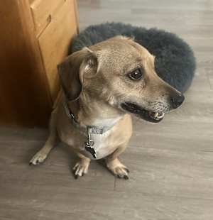 ARCHIE - Photo 3