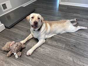 Oliver - Photo 3