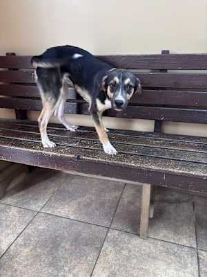 Buffy ~ meet me! - Photo 4