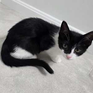 Ethel - Photo 1