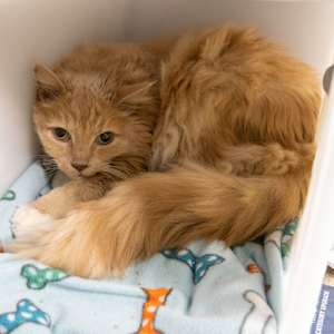 Cuddles - Photo 2