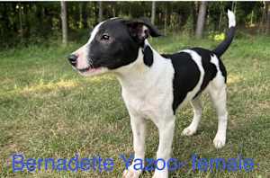 Bernadette~meet me! - Photo 2