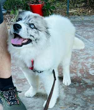 Theo - Photo 1
