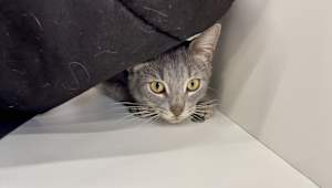 Fiona - Photo 2