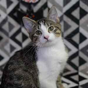 Princess Peach (Bonded to Mario) - Photo 2