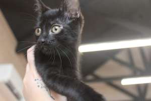 Eureeka - Photo 2
