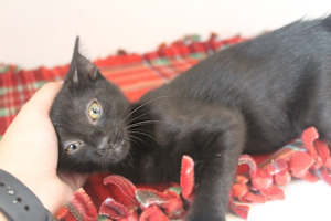 Eureeka - Photo 3
