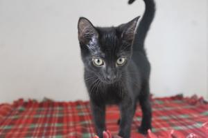 Eureeka - Photo 4