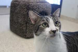 Sleet - Photo 4