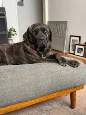 Maxine - Photo 4