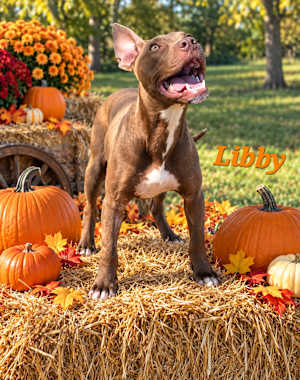 Libby - Photo 1