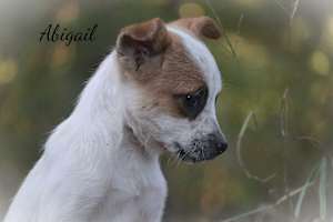 Abigail - Photo 3