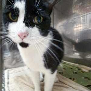 Kiki - Photo 3