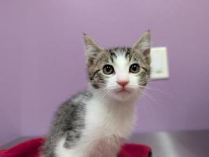 Brightheart - Photo 2