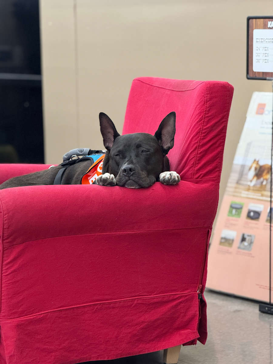 Milo