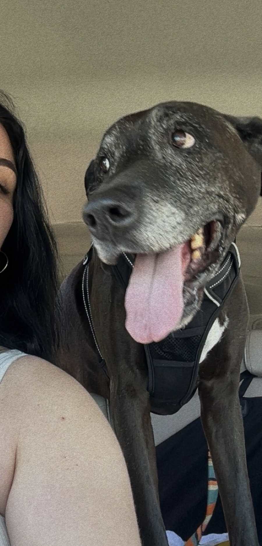Prince