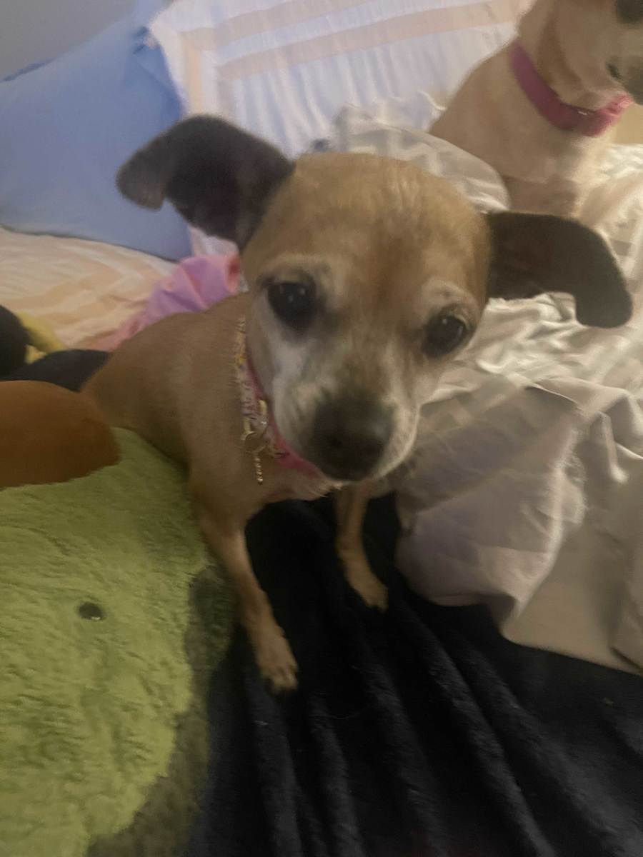 Lucy
