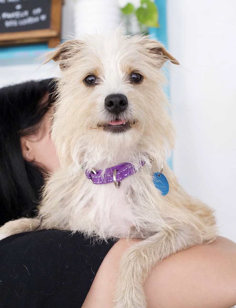 Samantha