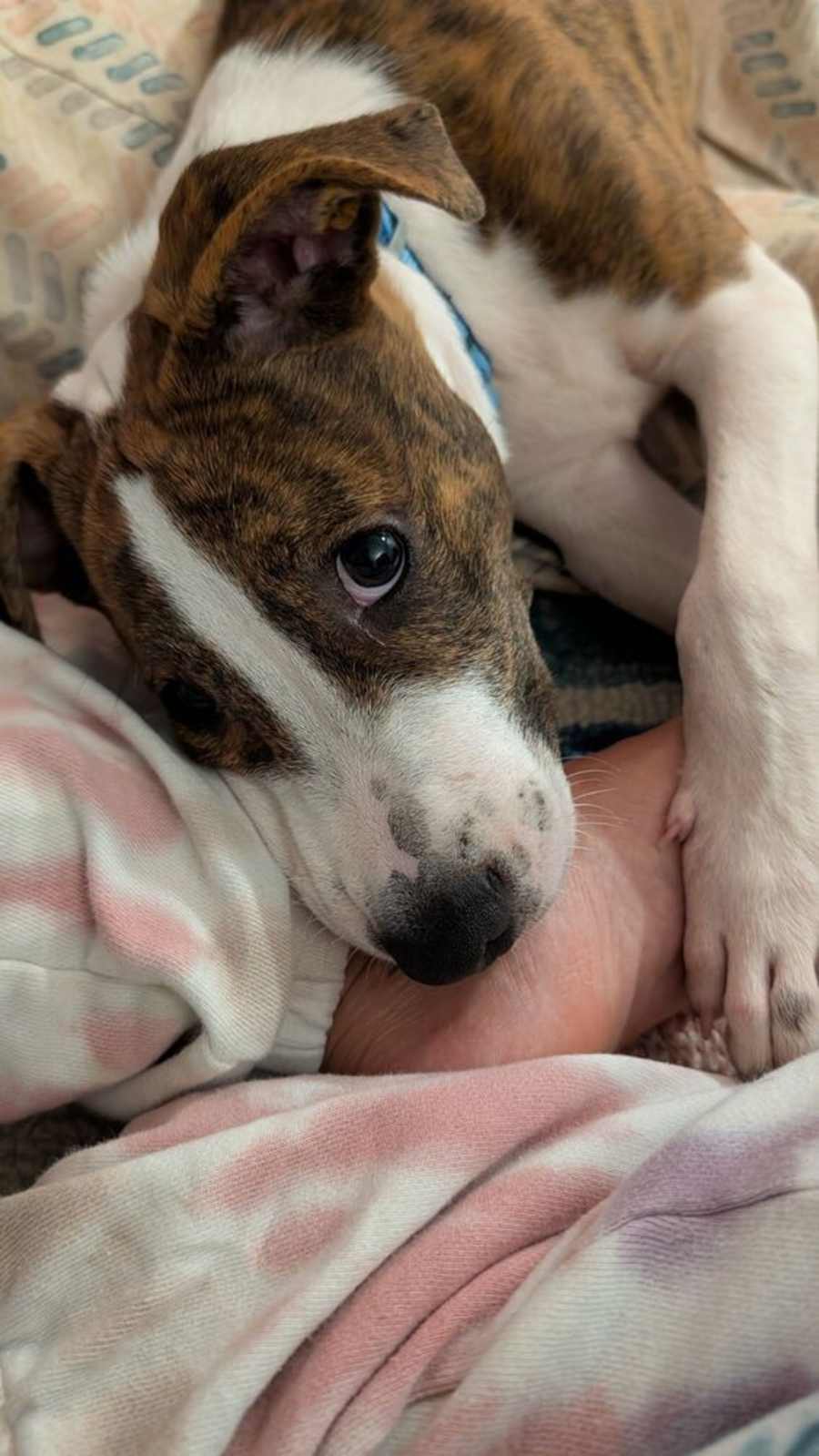 Charlie