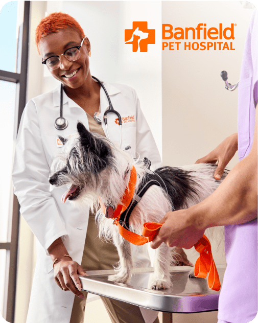 Banfield Pet Hospital