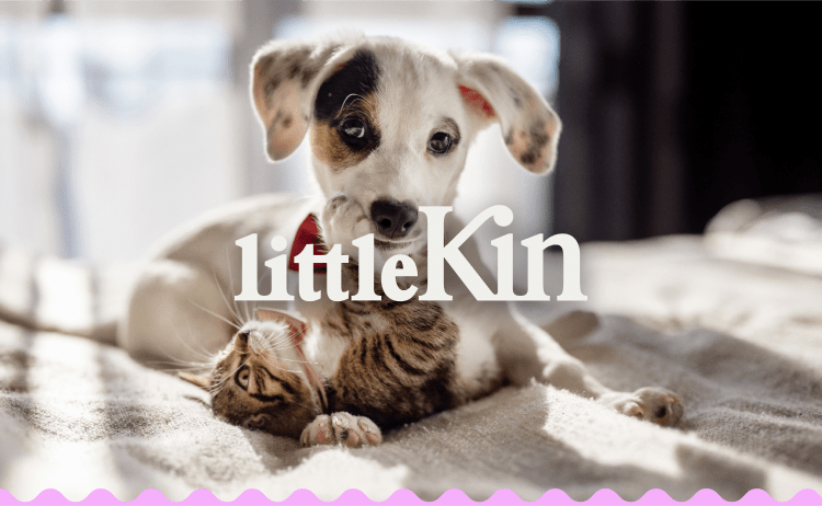Puppy Kitten Playing with Little Kin Logo
